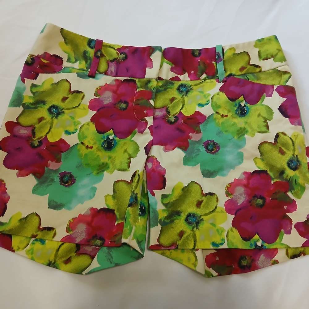The Limited Pink and Green Bermuda Shorts Vibrant Floral Design Size 2